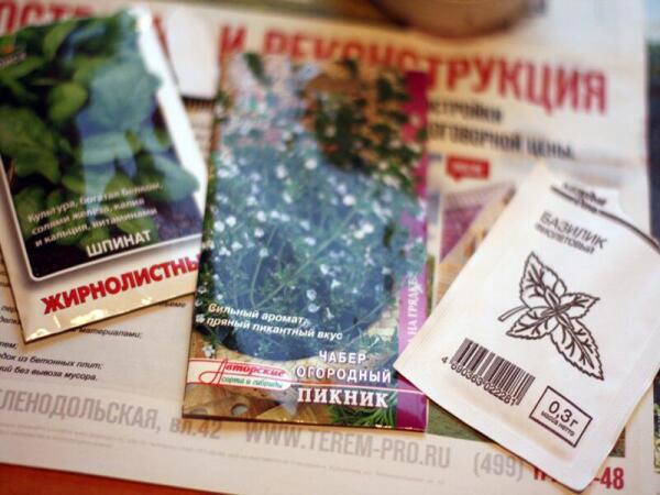 Семена для посадки