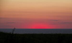 Когда и где началась русская Голгофа?