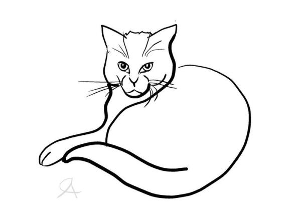 Есть вопросы?