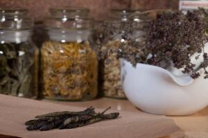 Какие травы применяют при гипертонии?