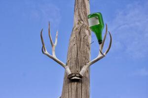 Алкоголизм. Куда идем, к чему придем?