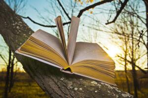 Сколько стоит бесплатный английский? Осторожно: «Английский с носителями. Бесплатно!»