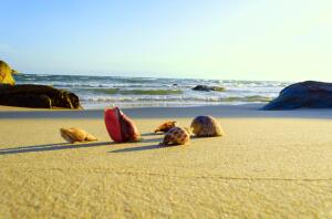 Как самостоятельно организовать свой отдых во Вьетнаме?