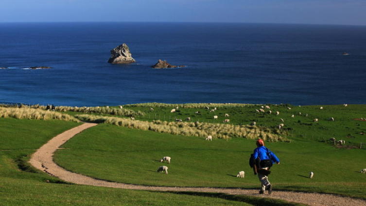 Алиса в стране чудес. Как встретила меня Новая Зеландия?