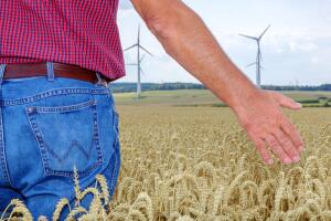 Почему чувственное восприятие важнее мышления?