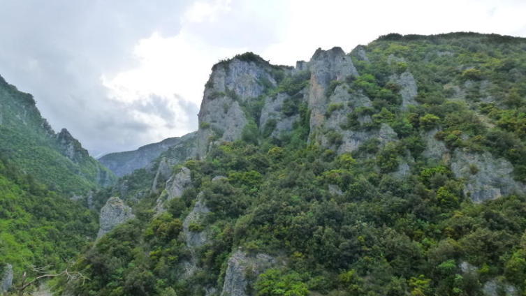 Каньон Энипеас