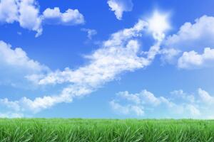 Как найти смысл жизни?