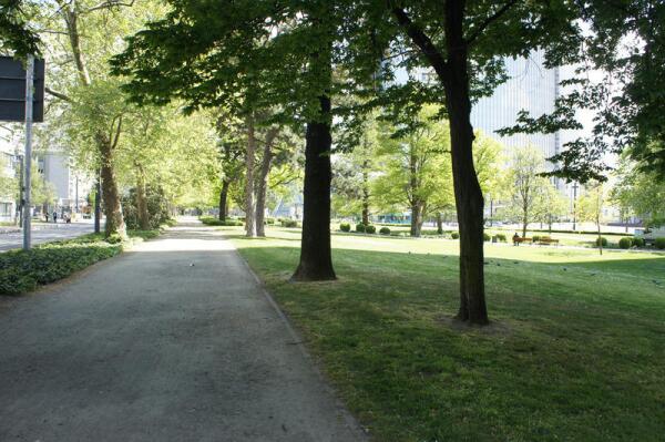 Улица в центре города