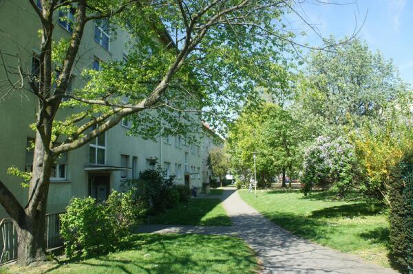 Двор жилого района