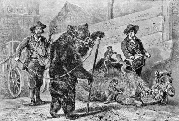 Пока зрители смотрят представление, воришки обчищают их карманы