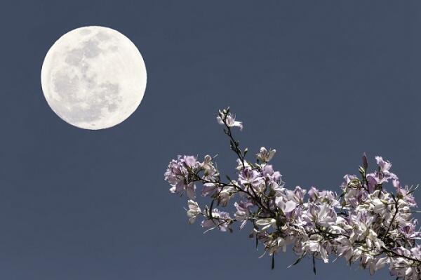 Берцелиус назвал открытый элемент Селеном, что в переводе с греческого означает Луна
