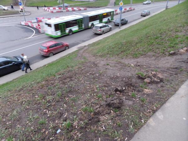 В озеленение склона можно ежегодно вкладывать по миллиону. Или утверждать, что вложили, но все смылось.