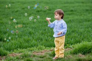 Почему выбривают городские газоны?