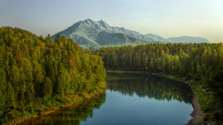 Где-то в Сибири, по легенде, спрятана «Золотая Баба», найти которую мечтает каждый кладоискатель... 