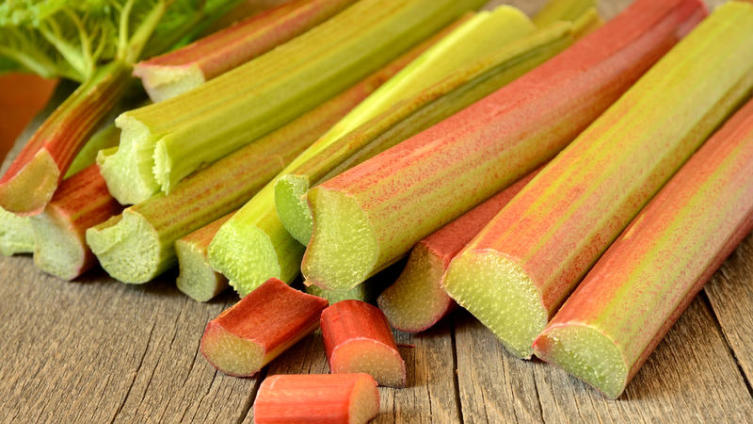 Как правильно вырастить ревень?