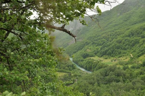 Каньон реки Тара. Северная Черногория