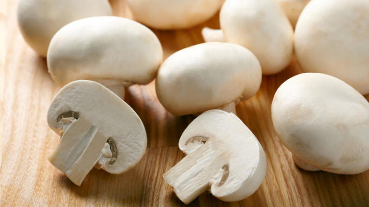 Как общаться с шампиньонами?