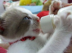 Даже не спорьте - молоко очень полезно!