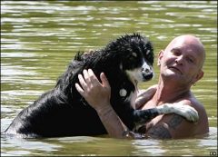 - Хоть ты и не мохнатый, как я, а окунуться тоже надо!