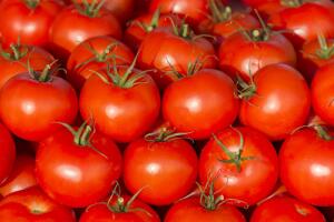Правда ли, что помидоры лечат рак?