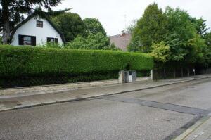 Самостоятельный туризм - сложно или нет? Поездка в Германию. Мюнхен, питание и достопримечательности