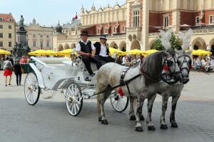 Что посмотреть в Кракове? Королевская дорога