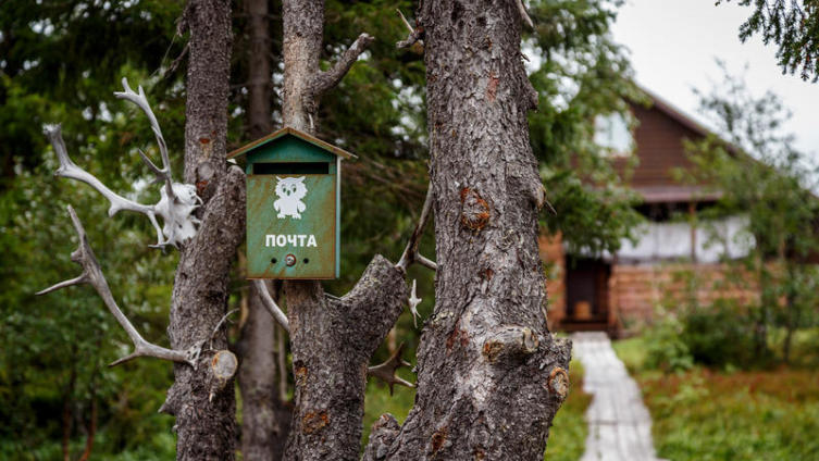 Почта полярной совы