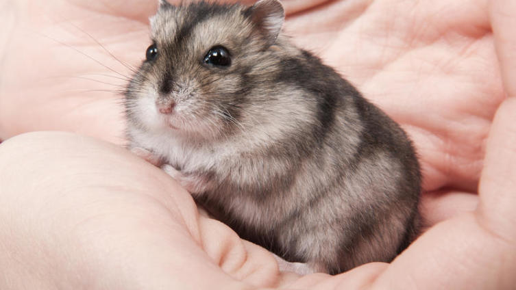 Кому нужен тикинг?