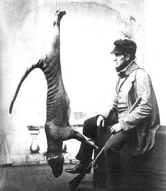 А вот получить премию за живого тилацина скоро станет невозможно.