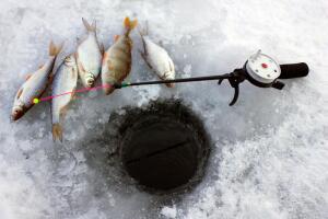 В чем романтика зимней рыбалки?