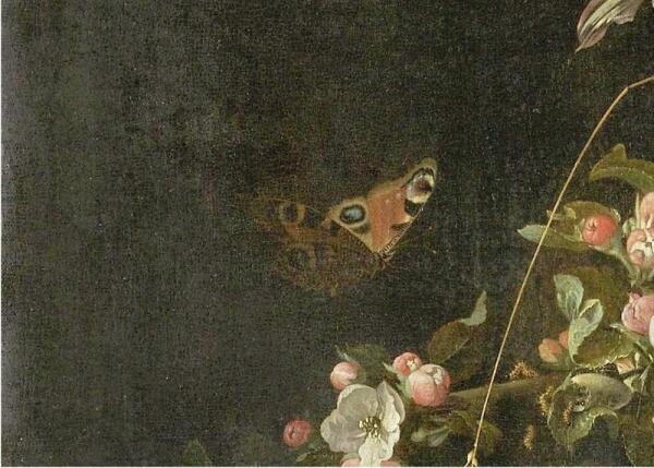 Абрахам Мигнон, Натюрморт с кошкой, фрагмент «Бабочка»