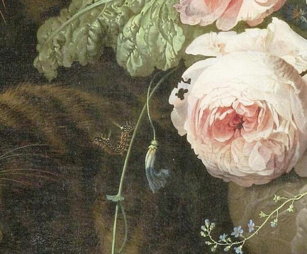 Абрахам Мигнон, Натюрморт с кошкой, фрагмент «Гусеница»