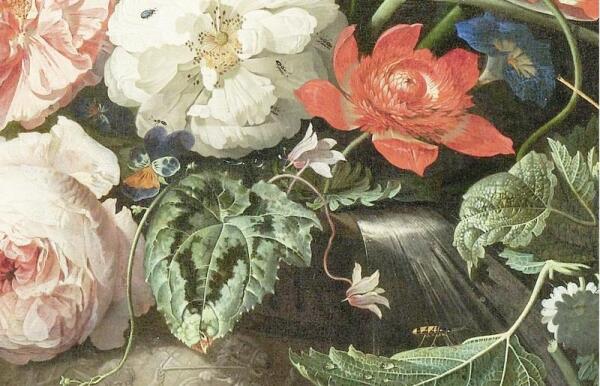 Абрахам Мигнон, Натюрморт с кошкой, фрагмент «Жук-солдатик и муравьи»