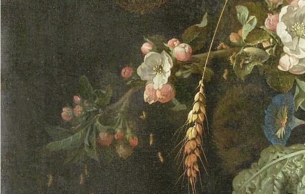 Абрахам Мигнон, Натюрморт с кошкой, фрагмент «Личинки выпадают из кокона»