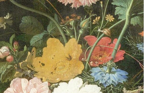 Абрахам Мигнон, Натюрморт с кошкой, фрагмент «Улитка, паучок, двухвостки»