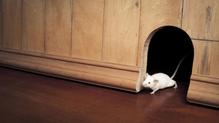 Дети и гаджеты. Где грань дозволенного?