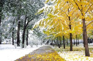 Между осенью и зимой: чем интересно это время?