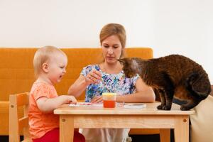 О женщинах, детях и кошках. Кто и во что играет?