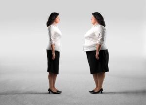 Как связано похудение и потепление, или Куда уходит жир?