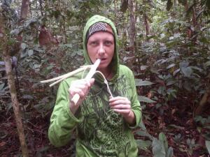 Как организовать себе приключение в джунглях Амазонки? 2. В джунглях