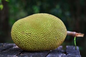 Что известно о тайской кухне? Замечательный гигант джекфрут