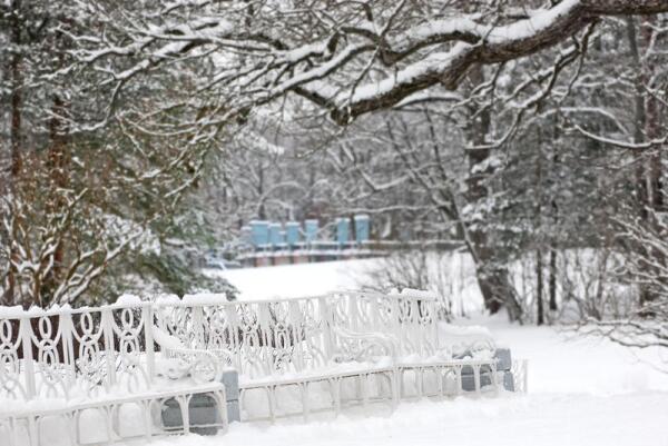 Царское Село