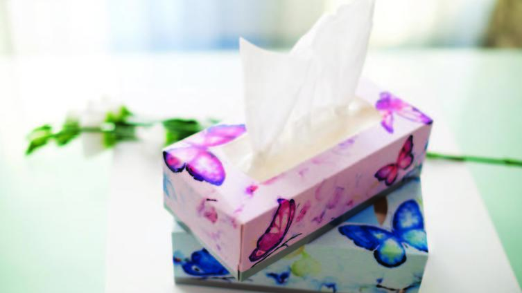 Что нового предлагает Lambi в наступившем весеннем сезоне?