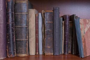 Что такое шелфи?