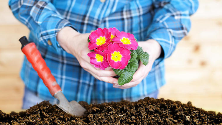 Для чего применяют геотекстильное полотно?