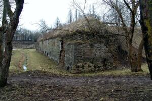 По какому плану и зачем построены Нарвские бастионы?