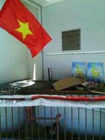 Боевой социалистический петух