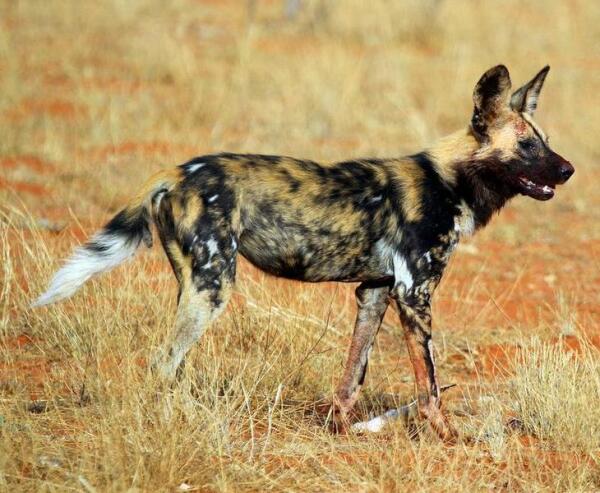 ...и профиль