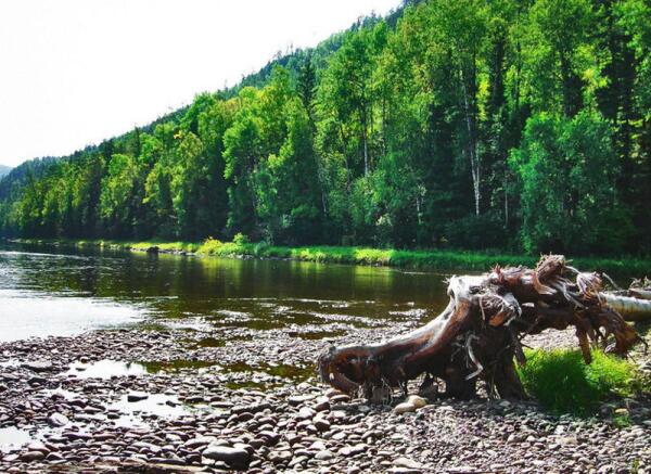 Река Бирюса, левый приток Ангары