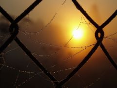 Память о тех, кто прошёл через ужасы политических репрессий, через катастрофу целой страны, должна сохраниться - во что бы то ни стало.